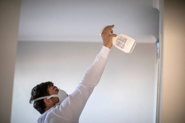 Best Crawl Space Mold Removal  in Pine Ridge, SD