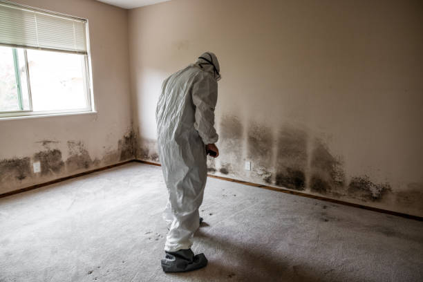 Best Mold Cleaning Services  in Pine Ridge, SD